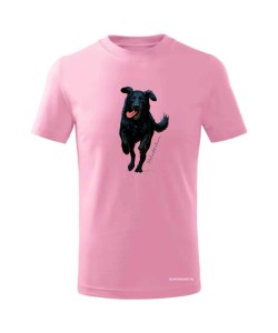 Flat coated retriever 2