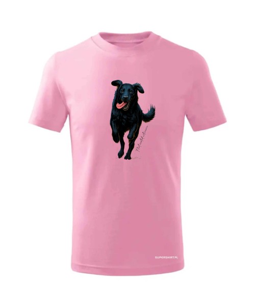 Flat coated retriever 2