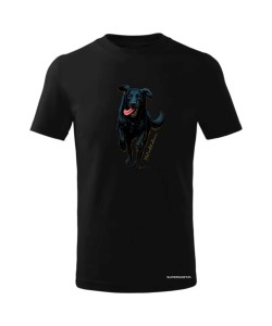 Flat coated retriever 2