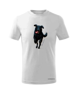 Flat coated retriever 2
