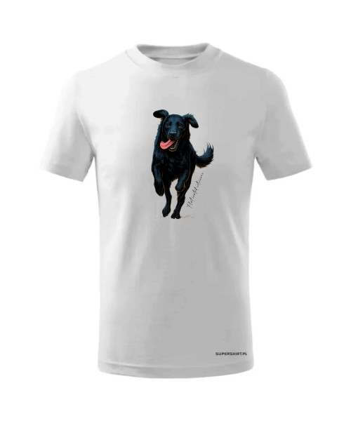 Flat coated retriever 2