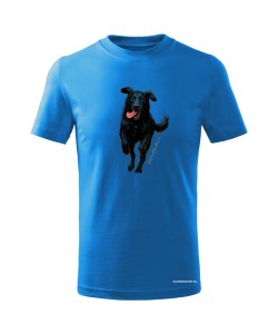Flat coated retriever 2