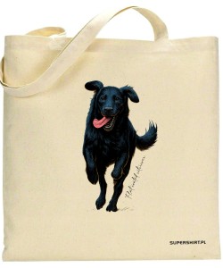 Flat coated retriever 2