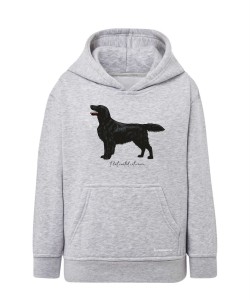 Flat coated retriever 4