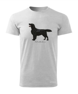 Flat coated retriever 4