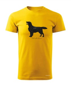Flat coated retriever 4