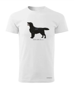 Flat coated retriever 4