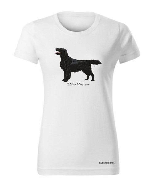 Flat coated retriever 4