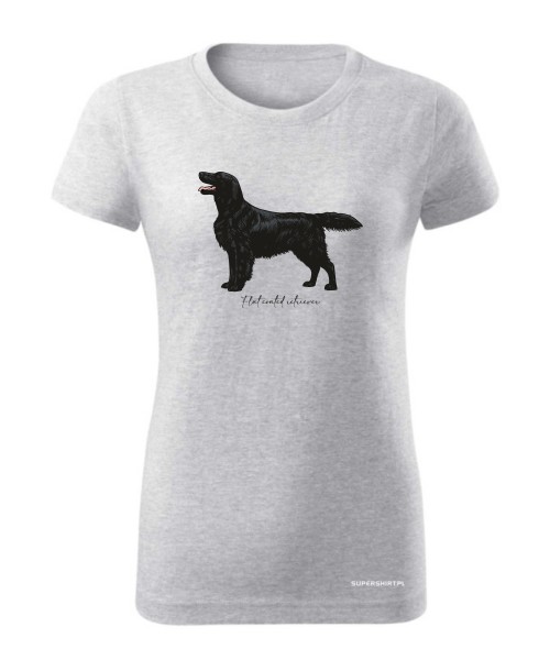 Flat coated retriever 4
