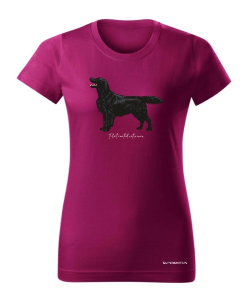 Flat coated retriever 4