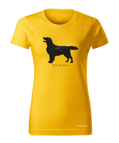 Flat coated retriever 4