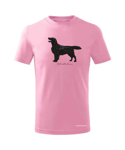 Flat coated retriever 4
