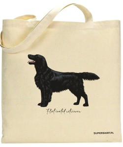 Flat coated retriever 4