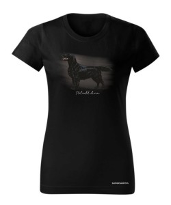 Flat coated retriever 3
