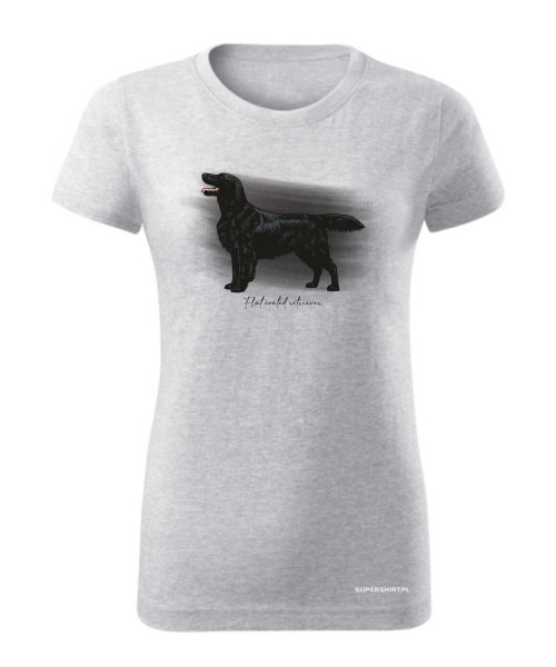 Flat coated retriever 3