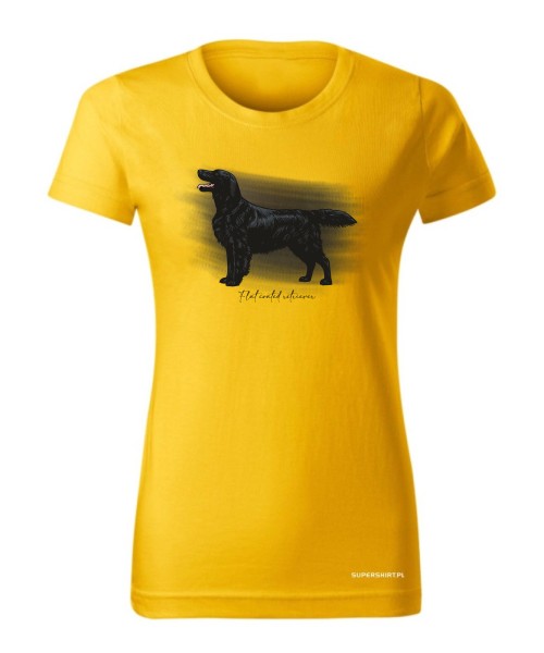 Flat coated retriever 3