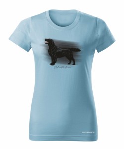 Flat coated retriever 3