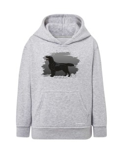 Flat coated retriever 3