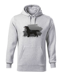 Flat coated retriever 3