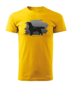 Flat coated retriever 3