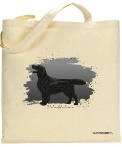Flat coated retriever 3