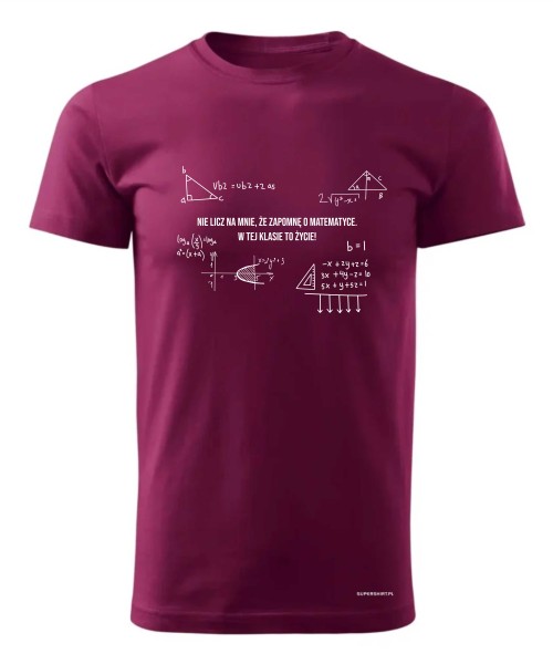 Nauczyciel Matematyki