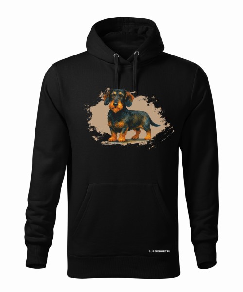 Jamnik szorstkowłosy