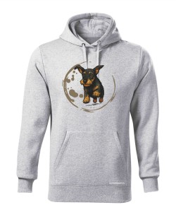 Jamnik szorstowłosy 2