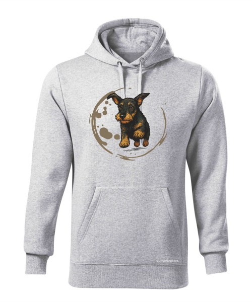 Jamnik szorstowłosy 2