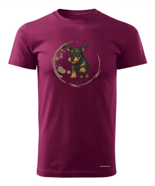 Jamnik szorstowłosy 2