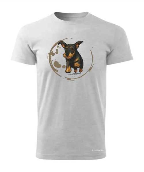 Jamnik szorstowłosy 2