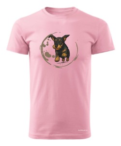 Jamnik szorstowłosy 2