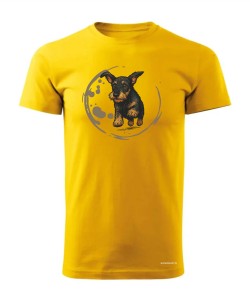 Jamnik szorstowłosy 2