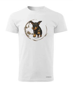 Jamnik szorstowłosy 2