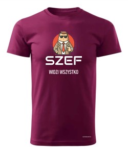 Szef widzi wszystko 