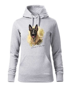 Owczarek belgijski 