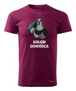 Gołębi Dowódca