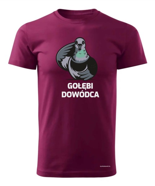 Gołębi Dowódca