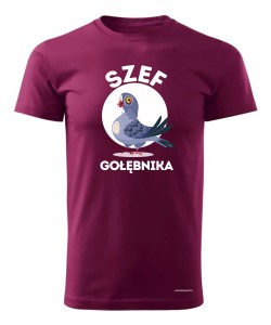 Szef Gołębnika