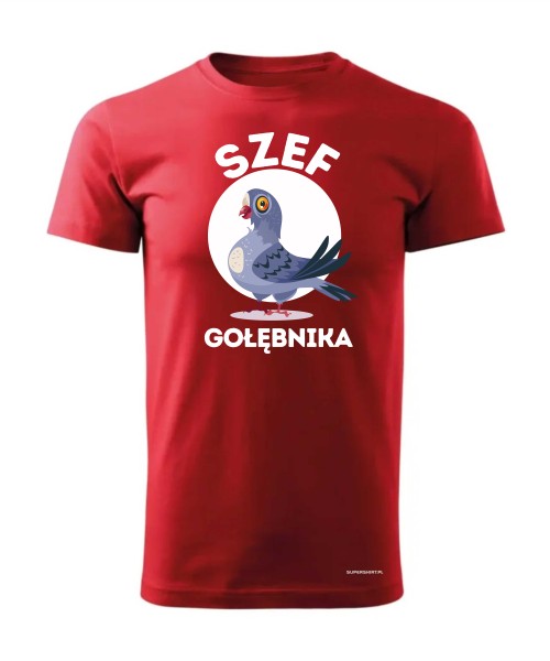 Szef Gołębnika