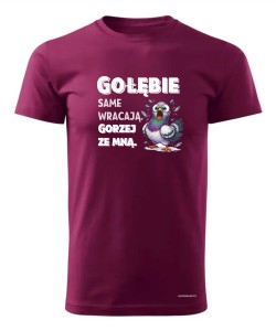 Gołębie same wracają