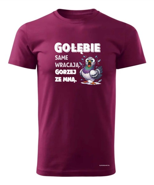 Gołębie same wracają