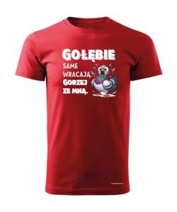 Gołębie same wracają