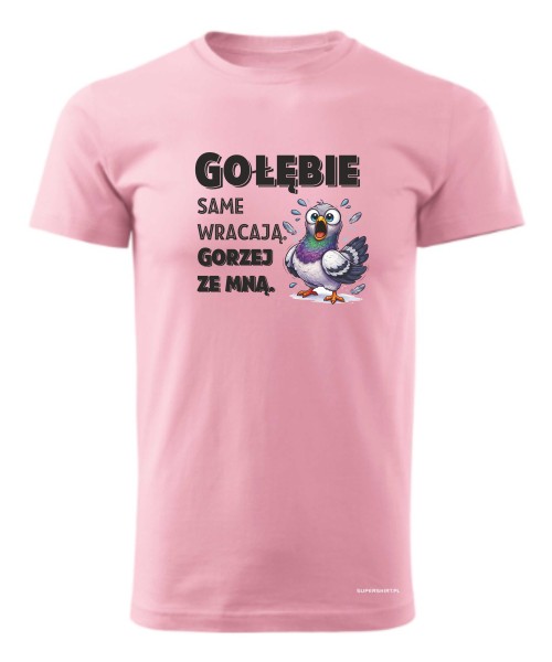 Gołębie same wracają