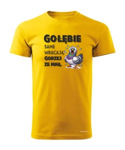 Gołębie same wracają