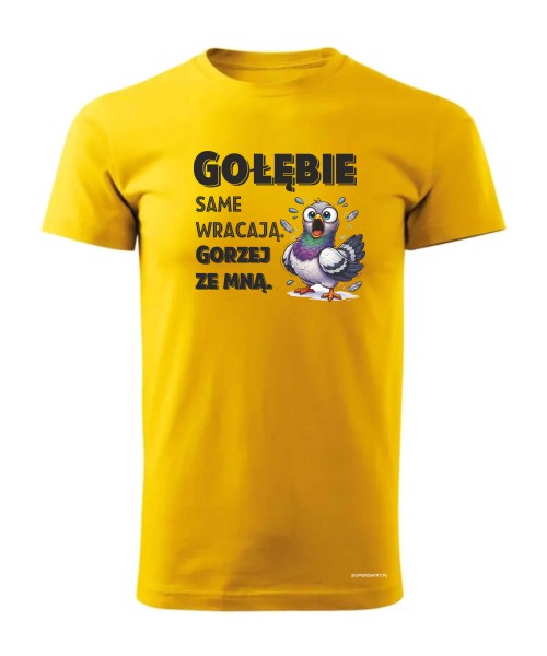 Gołębie same wracają
