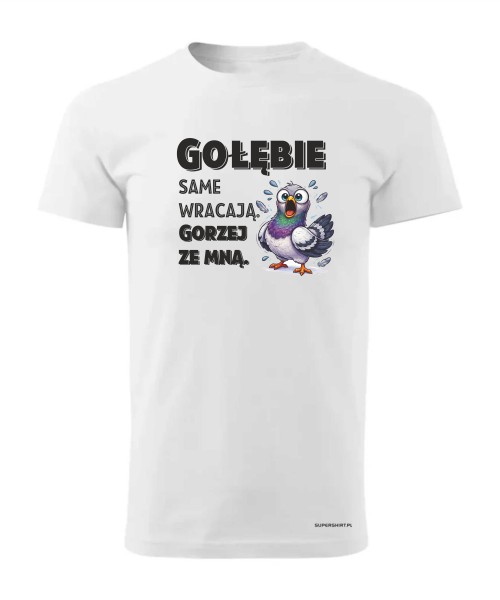 Gołębie same wracają