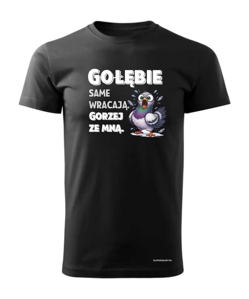 Gołębie same wracają