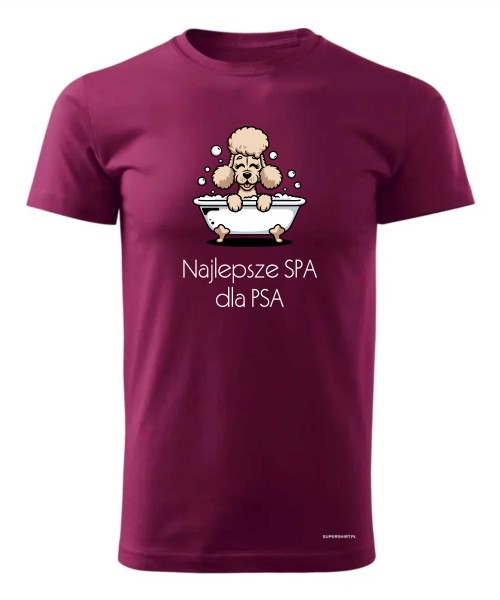 Najlepsze SPA dla PSA