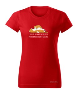 Koty nie są leniwe